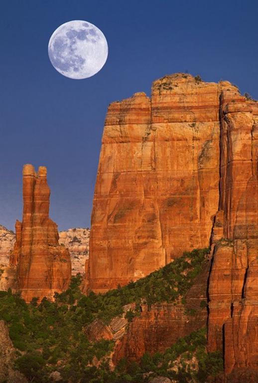 Baby Quail Inn Sedona Exterior foto