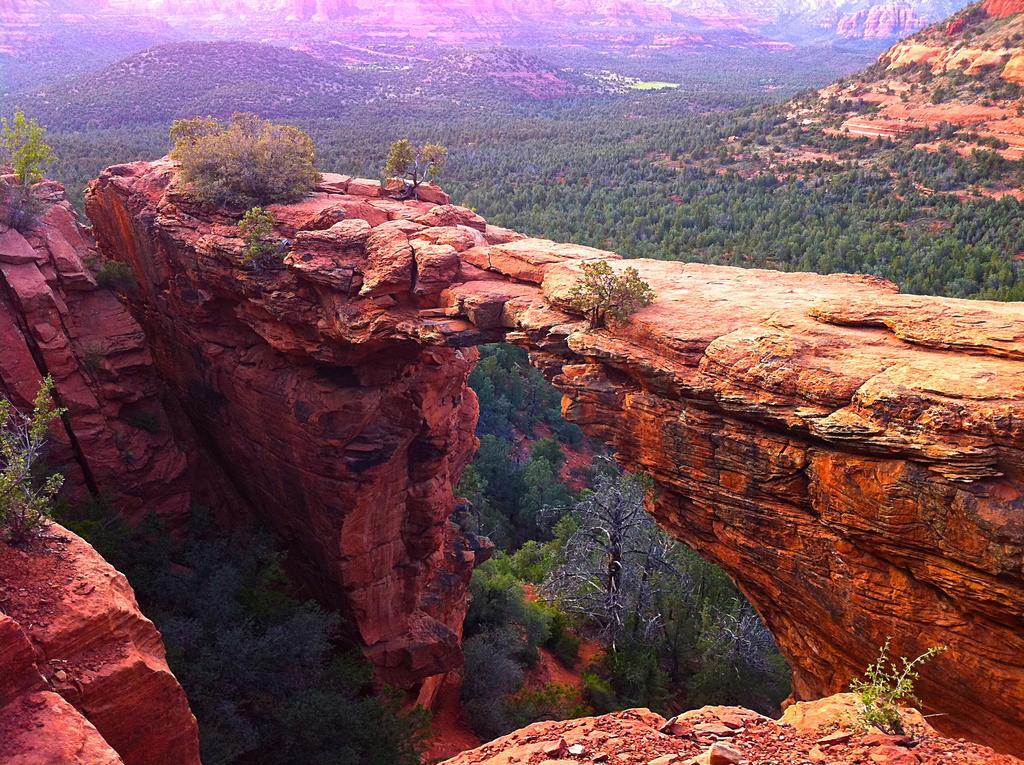 Baby Quail Inn Sedona Exterior foto
